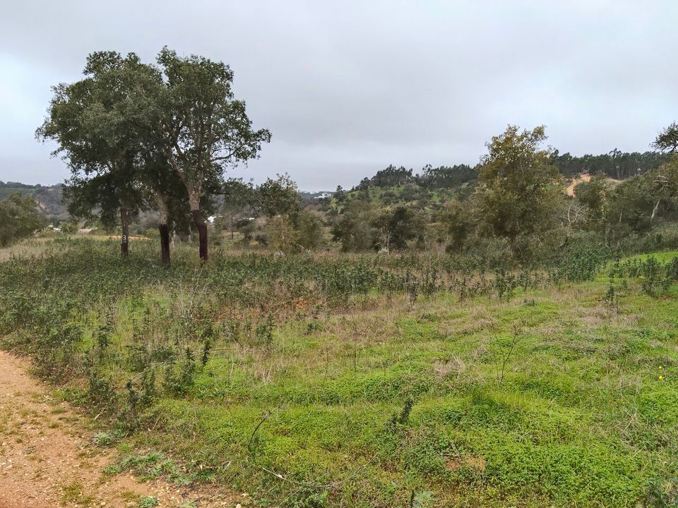 Helårsgrund i Boavista dos Pinheiros, Beja - foto 1