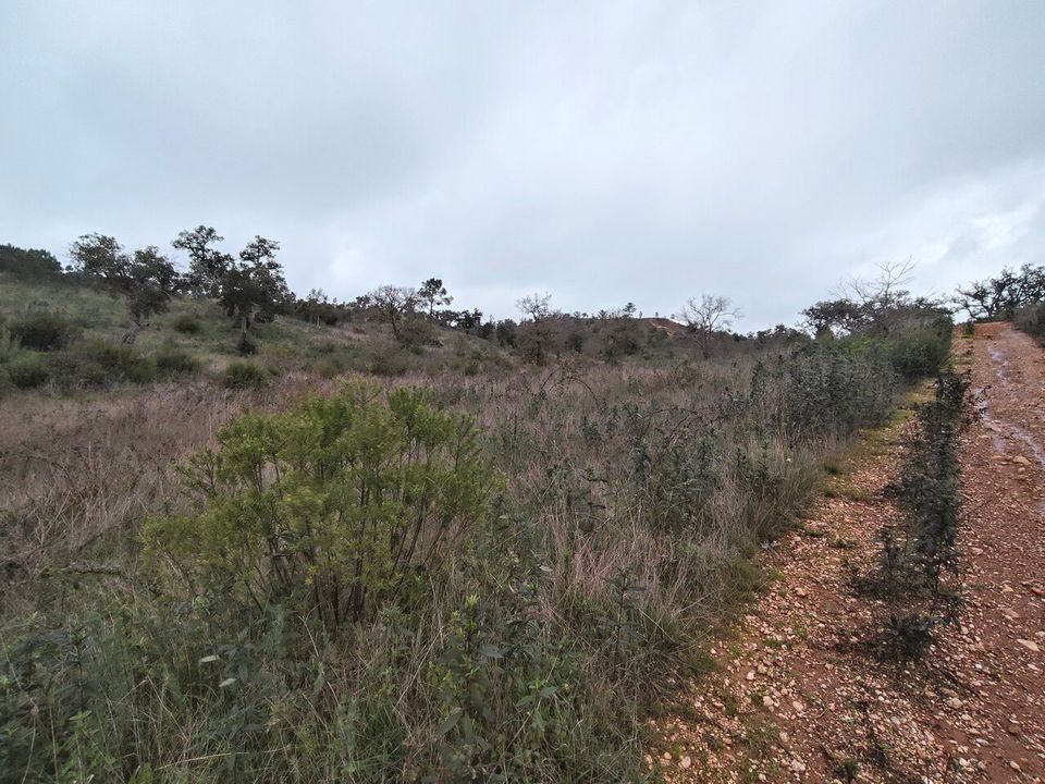 Helårsgrund i Boavista dos Pinheiros, Beja - foto 2