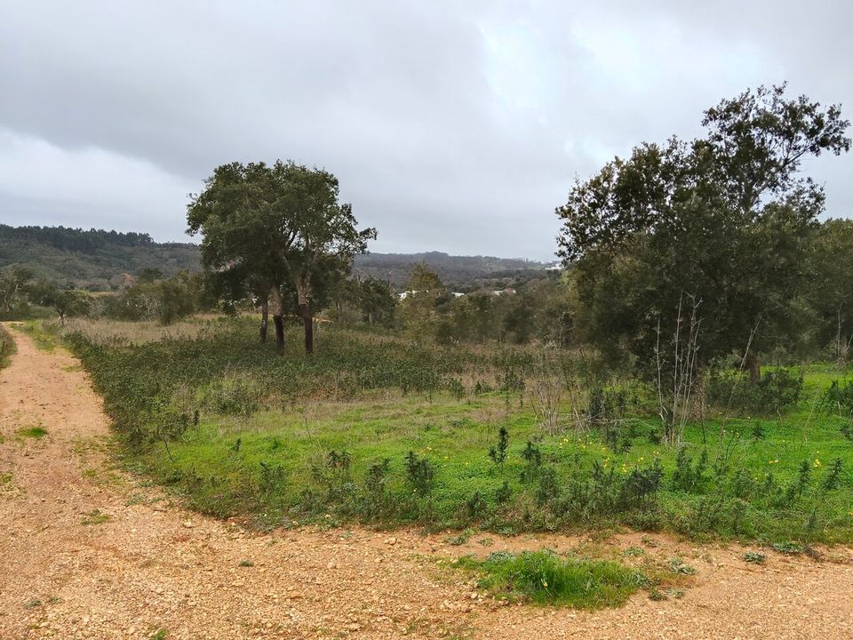 Helårsgrund i Boavista dos Pinheiros, Beja - foto 3