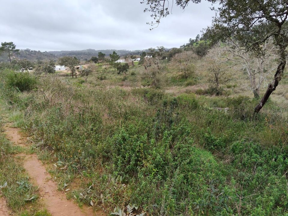 Helårsgrund i Boavista dos Pinheiros, Beja - foto 4