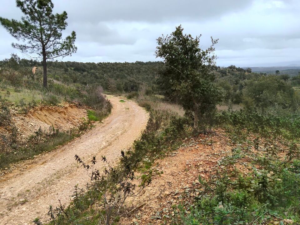 Helårsgrund i Boavista dos Pinheiros, Beja - foto 5