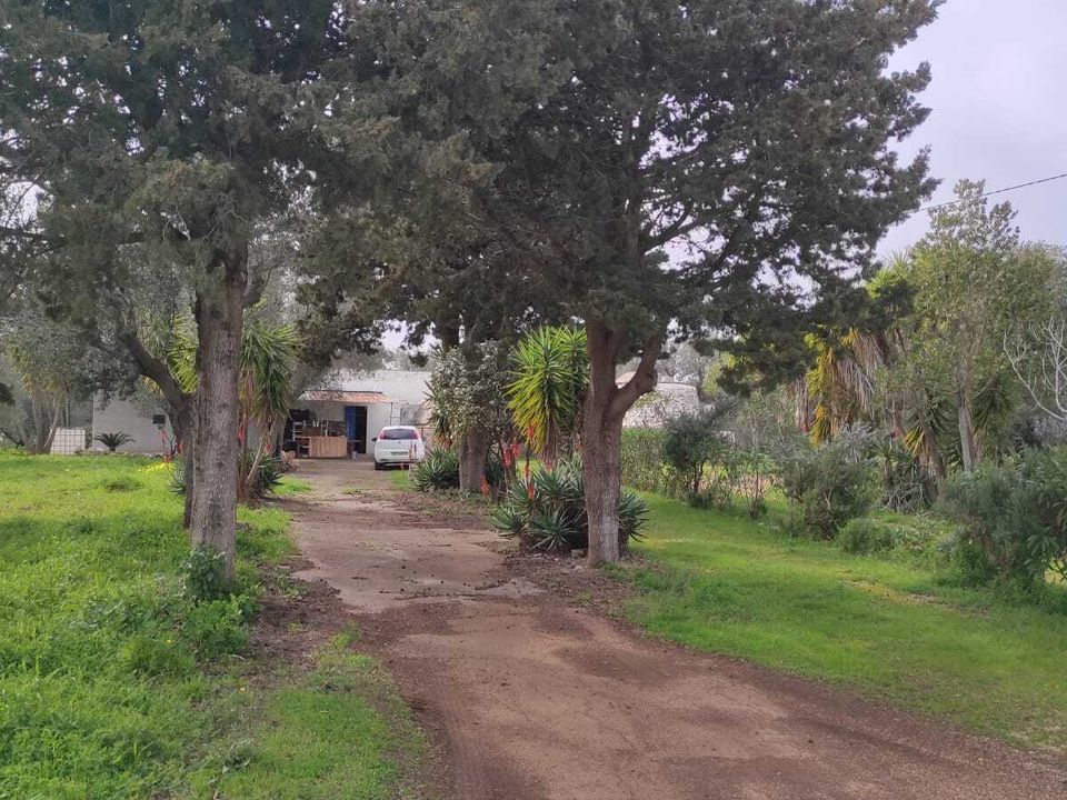 Villa i Ostuni, Brindisi - foto 3