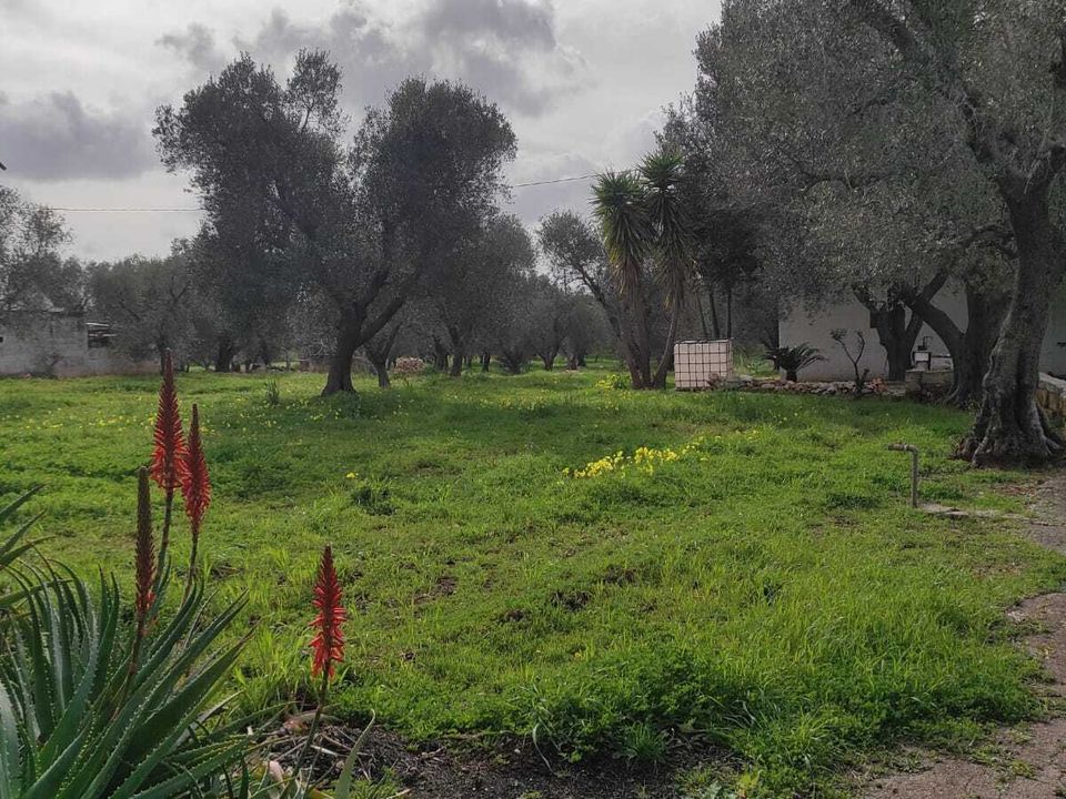 Villa i Ostuni, Brindisi - foto 4
