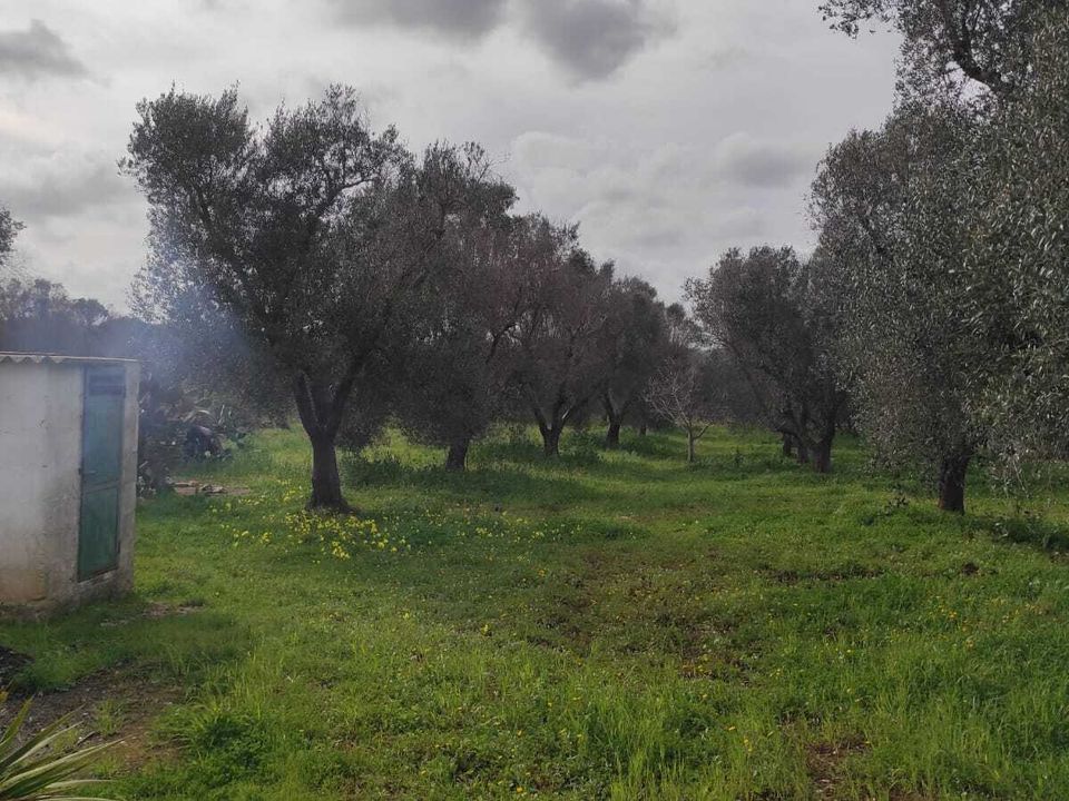 Villa i Ostuni, Brindisi - foto 5