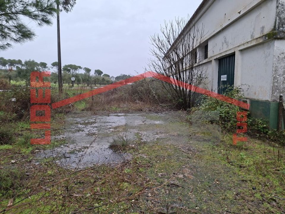 Erhvervsejendom i Agrobom, Saldonha e Vale Pereiro, Braganca - foto 4
