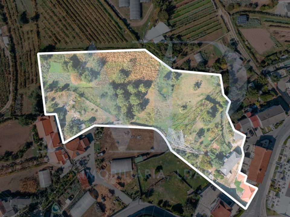 Farm i Guimaraes, Braga - foto 1