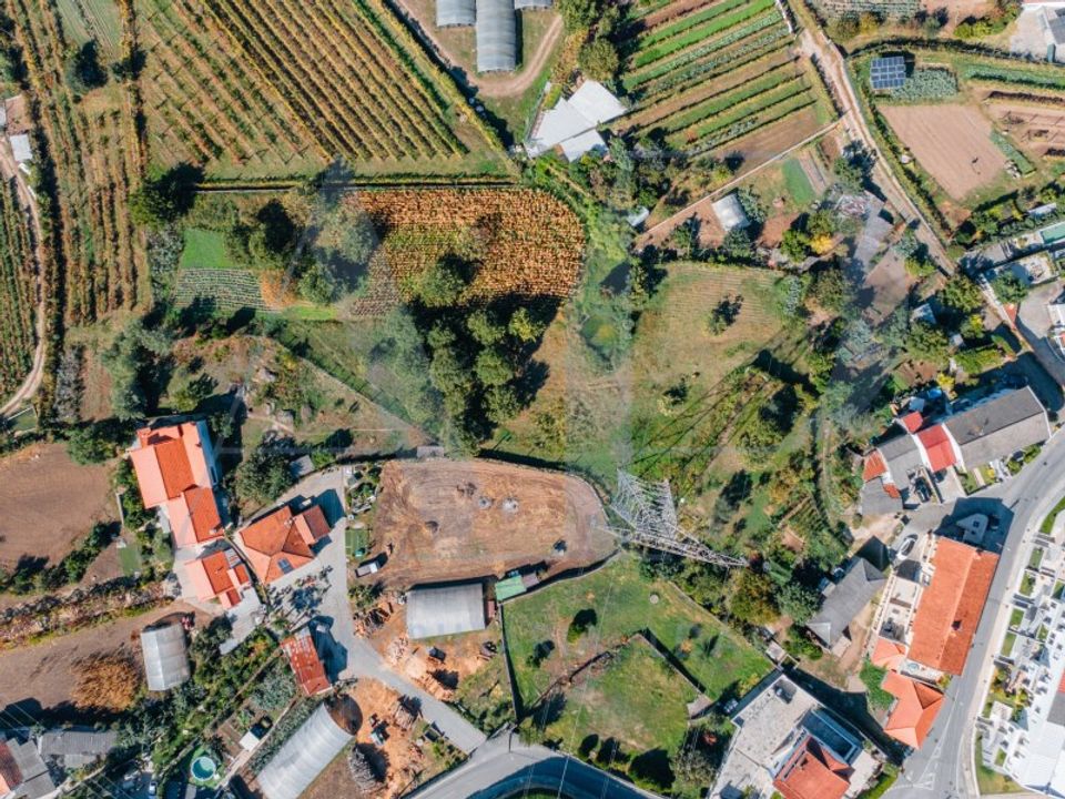Farm i Guimaraes, Braga - foto 2