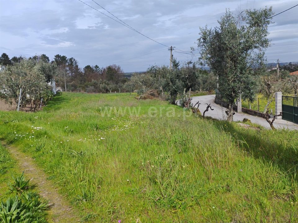 Helårsgrund i Satao, Viseu - foto 2