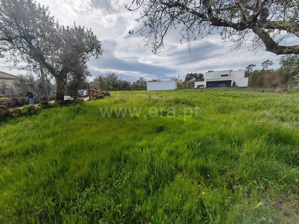 Helårsgrund i Satao, Viseu - foto 4