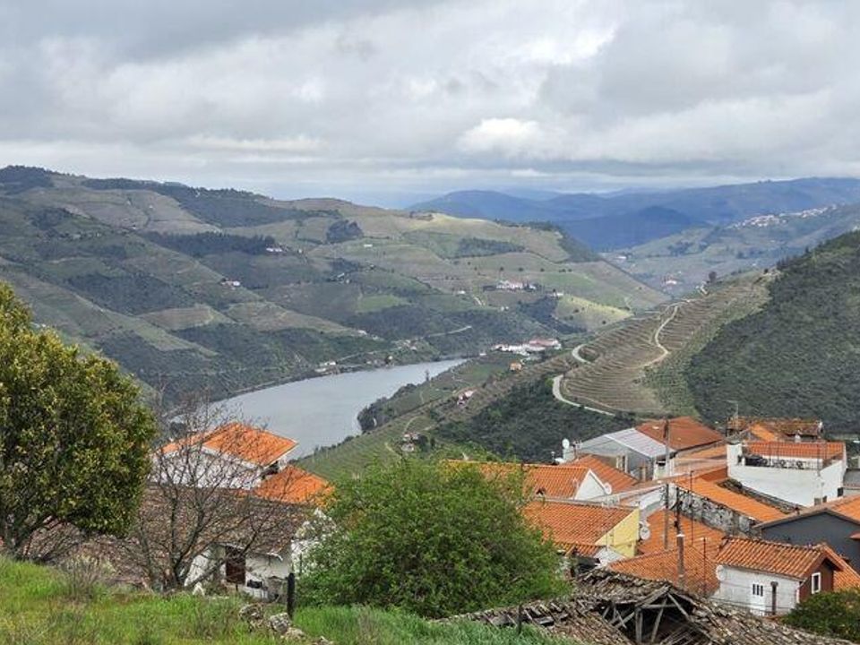 Tomt i Armamar, Viseu - bilde 1