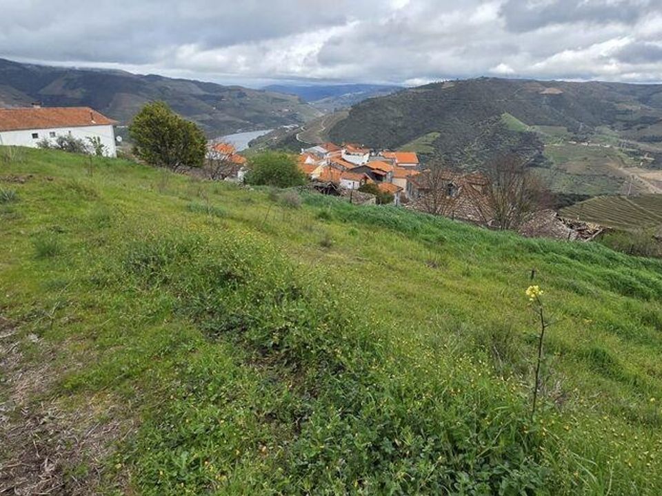 Tomt i Armamar, Viseu - bilde 3