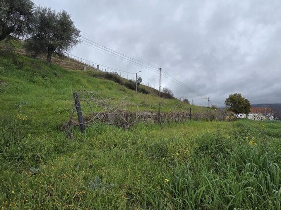 Tomt i Armamar, Viseu - bilde 5