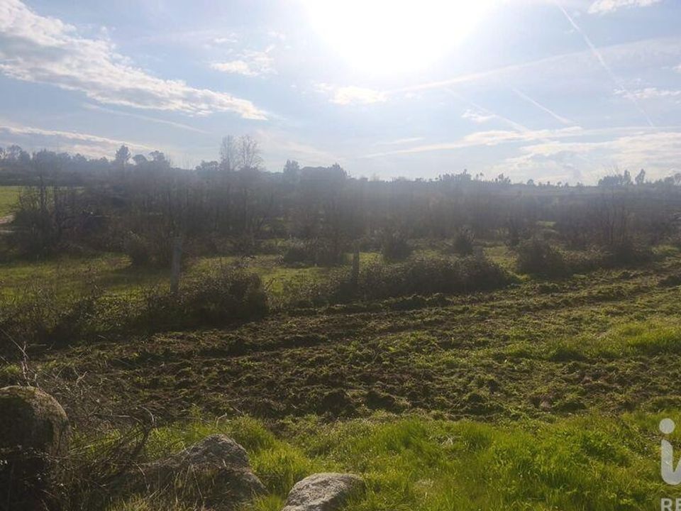 Helårsgrund i Oliveira do Hospital, Coimbra - foto 4