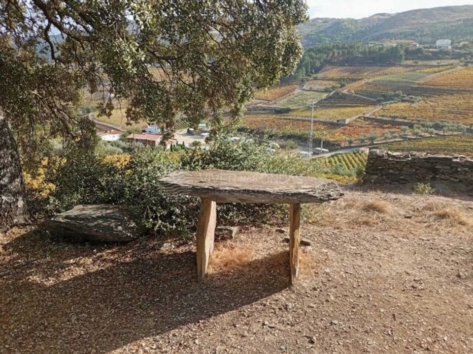 Gård i Tabuaco, Viseu - bilde 2