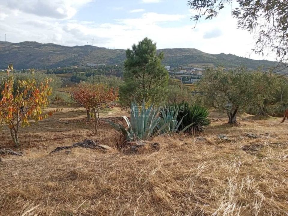 Gård i Tabuaco, Viseu - bilde 3