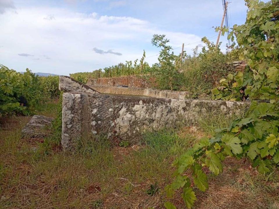 Gård i Tabuaco, Viseu - bilde 4