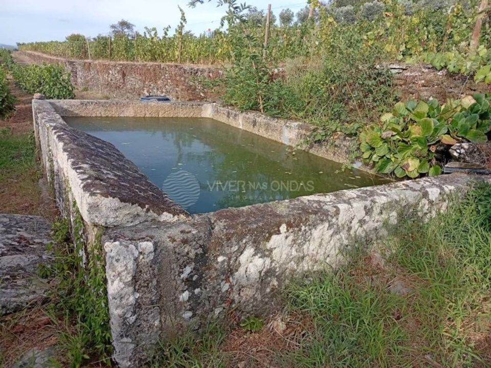 Gård i Tabuaco, Viseu - bilde 5