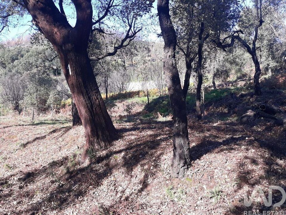 Terreno en Monchique, Faro - foto 2