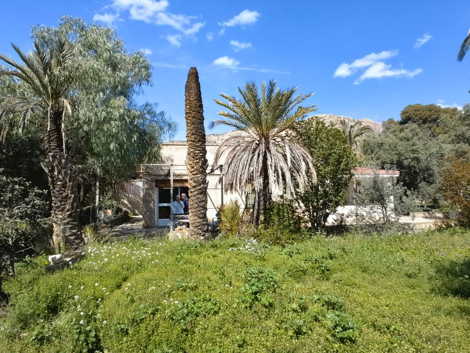 Landejendom i Elda, Alicante - foto 1