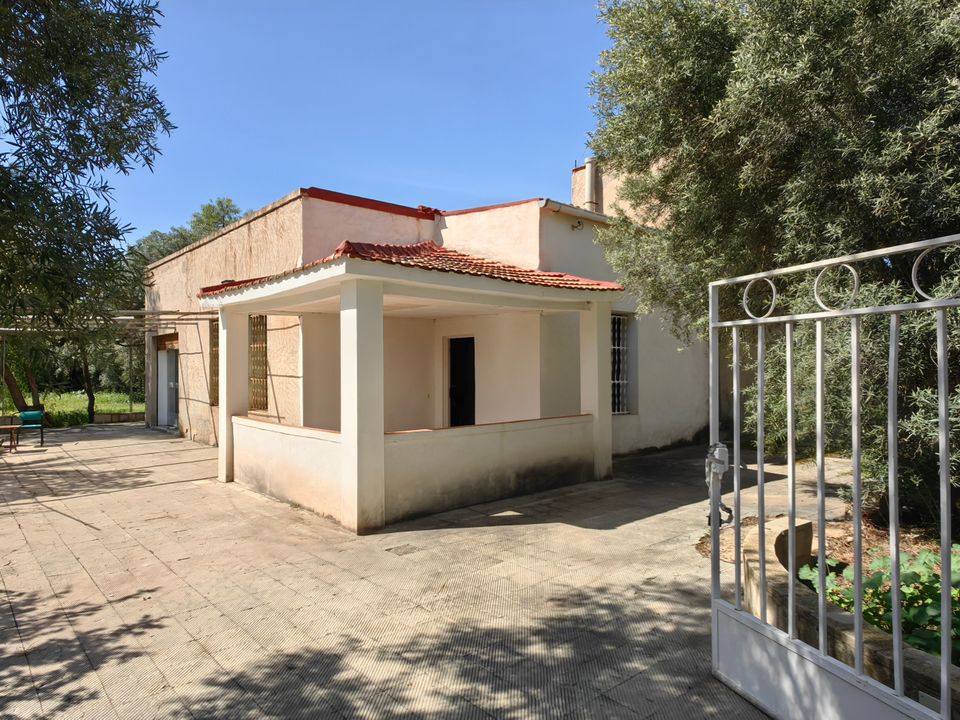 Landejendom i Elda, Alicante - foto 4