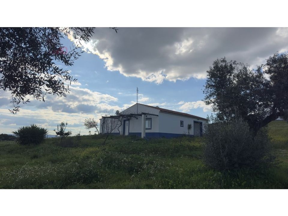 Farm i Estremoz, Evora - foto 3