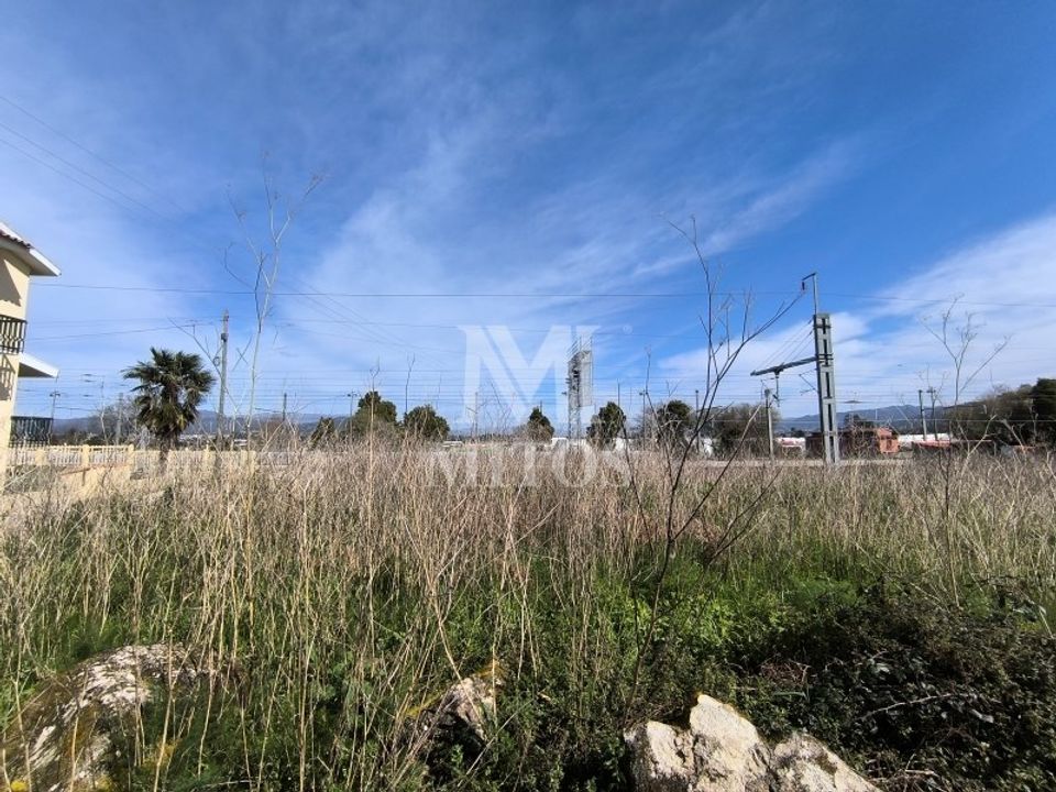 Tomt i Darque, Viana do Castelo - bilde 2