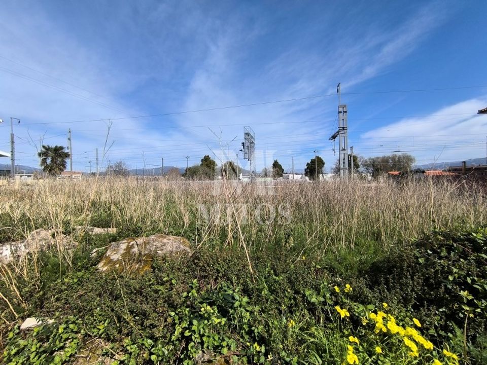 Terra a Darque, Viana do Castelo - foto 1