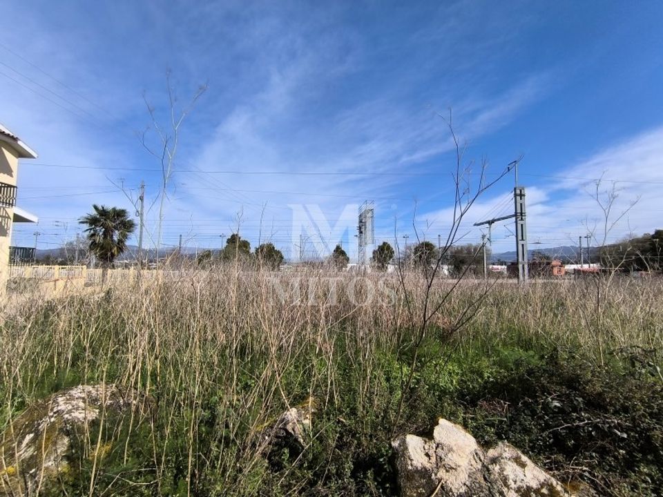 Terra a Darque, Viana do Castelo - foto 2
