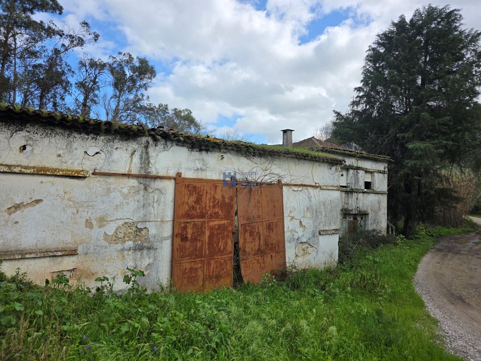Helårsgrund i Torres Novas, Santarem - foto 2