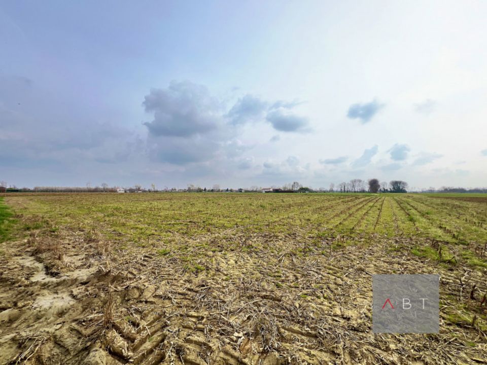 Helårsgrund i Curtarolo, Padua - foto 1
