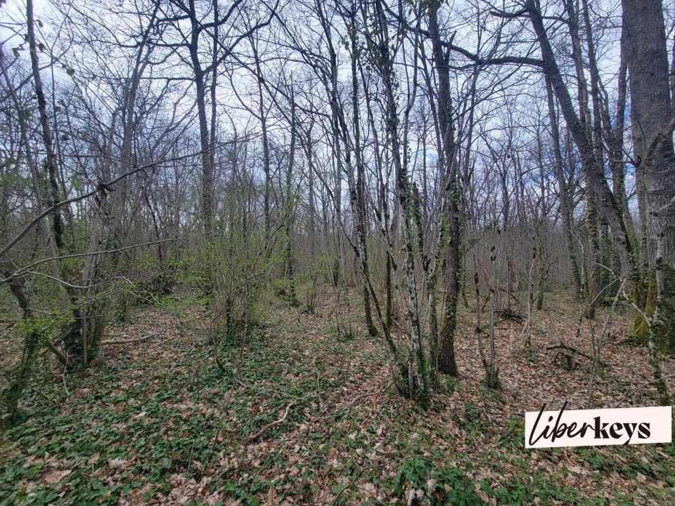 Helårsgrund i Bouloc, Haute-Garonne - foto 3