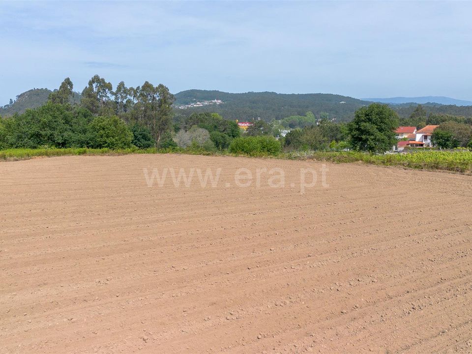 Byhus i Esposende, Braga - foto 5