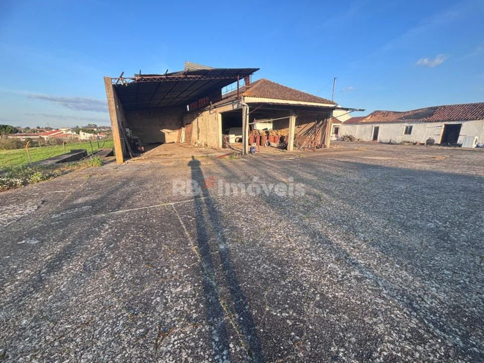 Farm i Riachos, Santarem - foto 2