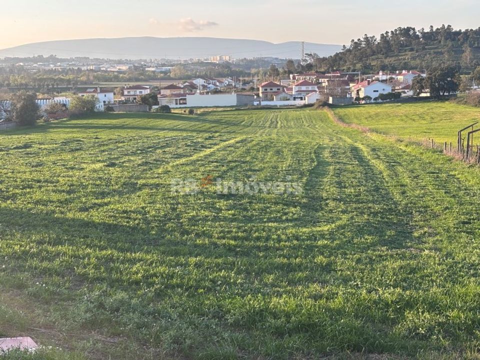 Farm i Riachos, Santarem - foto 3