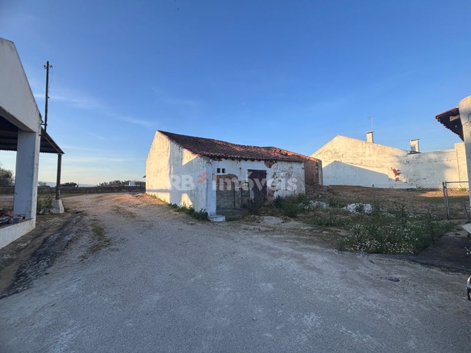 Farm i Riachos, Santarem - foto 4