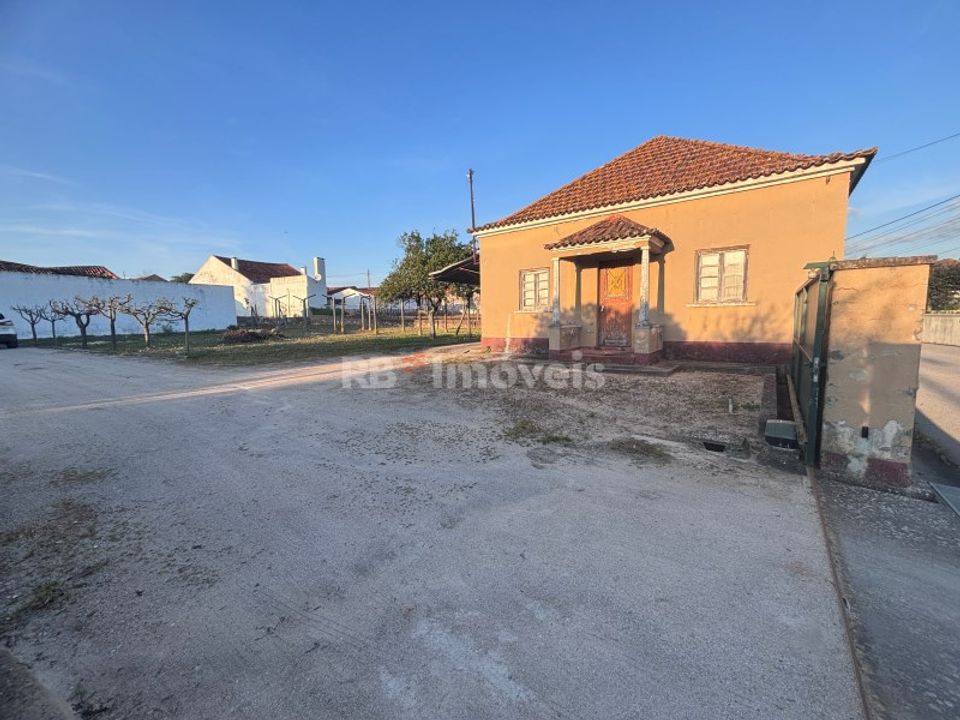 Farm i Riachos, Santarem - foto 5