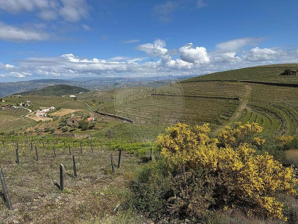 Masia a Sao Joao da Pesqueira, Viseu - foto 1