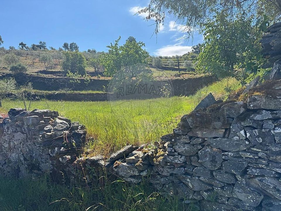 Masia a Sao Joao da Pesqueira, Viseu - foto 4