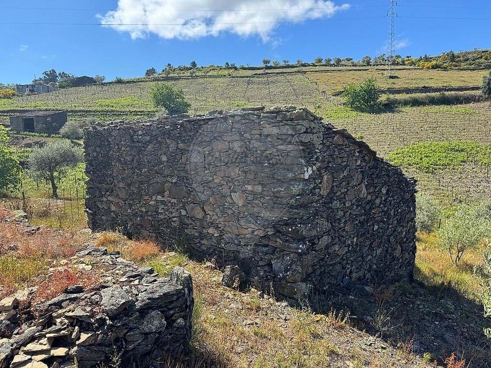 Masia a Sao Joao da Pesqueira, Viseu - foto 5