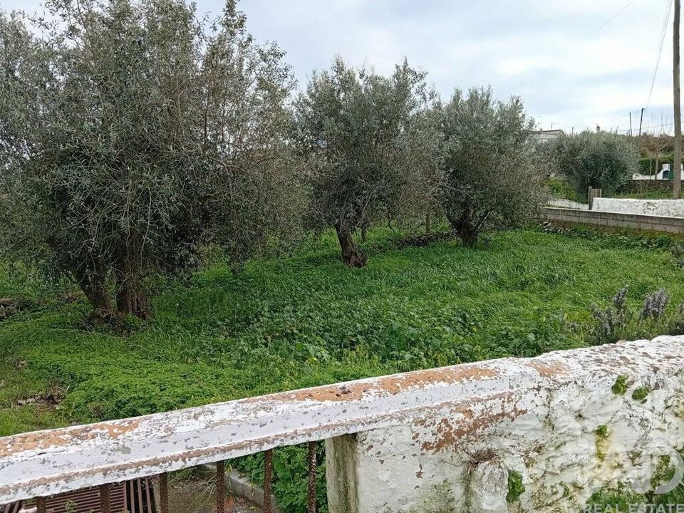 Terra a Loule, Faro - foto 2