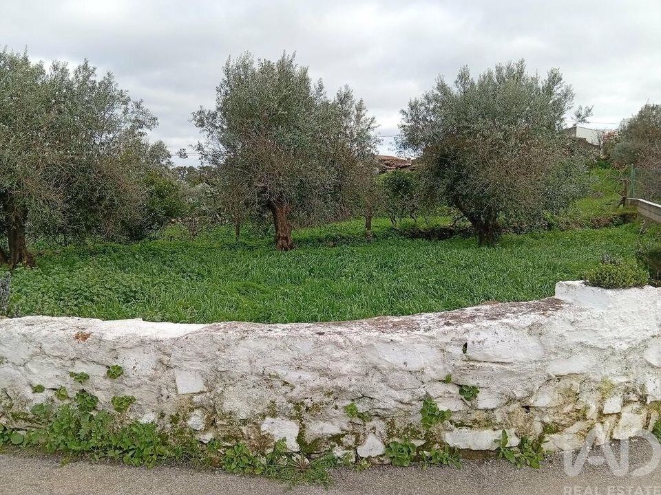 Terra a Loule, Faro - foto 3