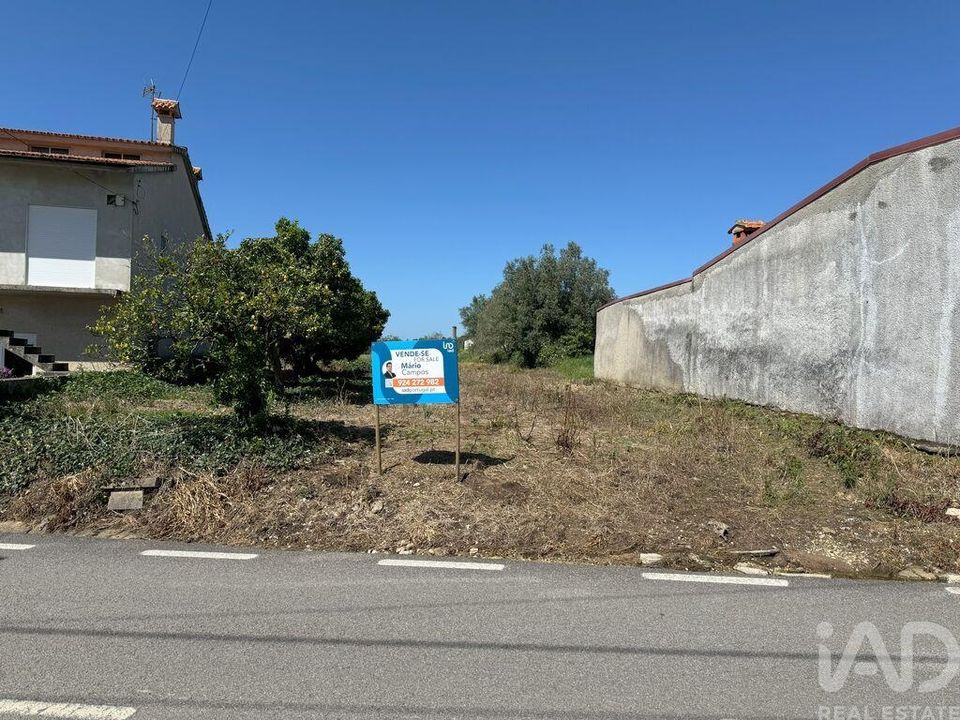 Helårsgrund i Anadia, Aveiro - foto 1
