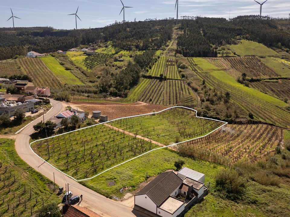 Helårsgrund i Cadaval, Lisbon - foto 4