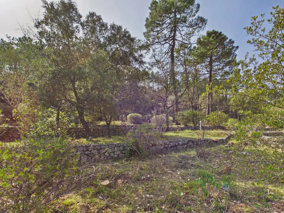 Villa i Vidauban, Var - foto 3