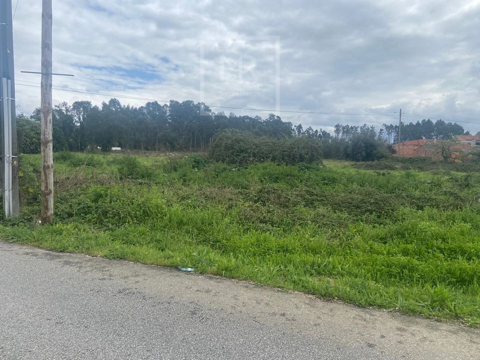 Helårsgrund i Anadia, Aveiro - foto 3