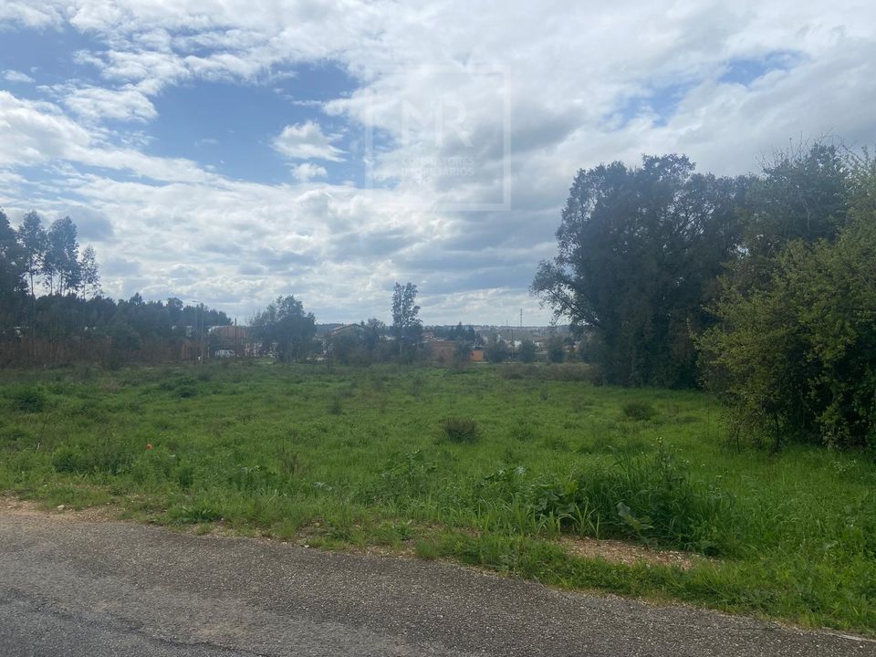 Helårsgrund i Anadia, Aveiro - foto 4