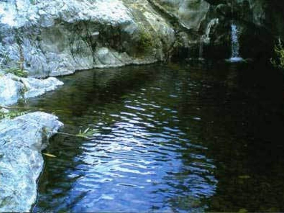 Finca i Estepona, Malaga - foto 1