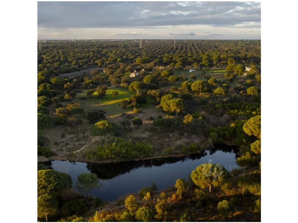 Herregård i Vendas Novas, Evora - bilde 4