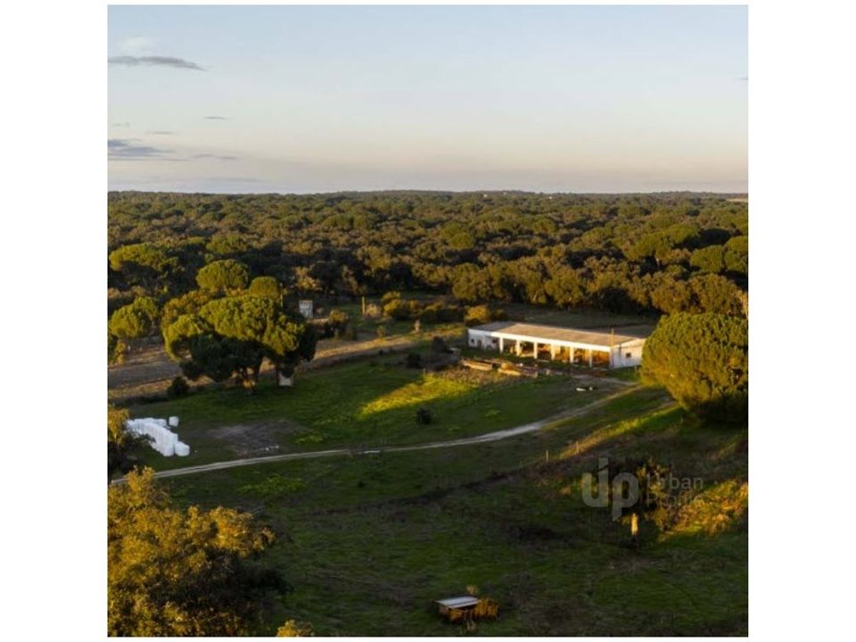 Herregård i Vendas Novas, Evora - bilde 5