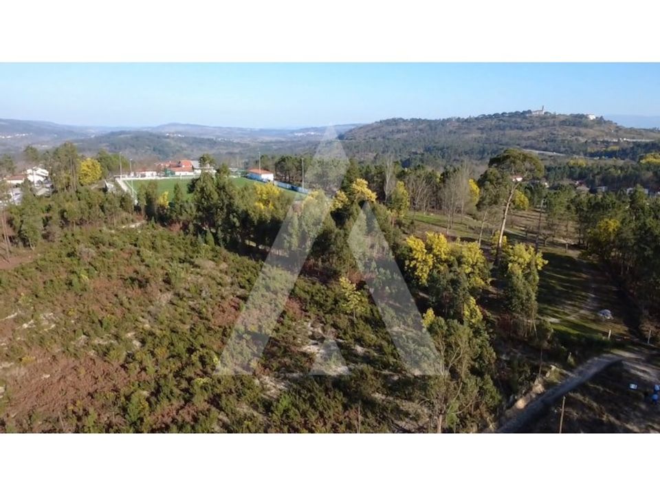 Helårsgrund i Mangualde, Viseu - foto 4